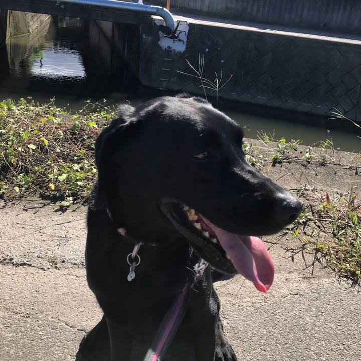 67a334ee 1e9b 4532 ae6b a0222165e099 1569483075215