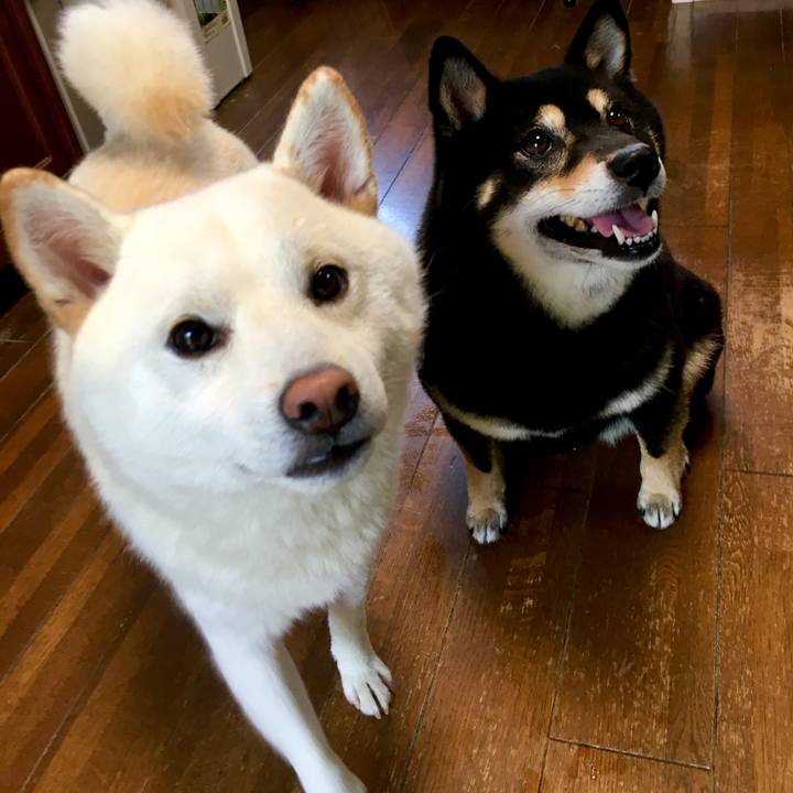 67a35a82 f3c5 438f a440 32a13988922a 1531711872230