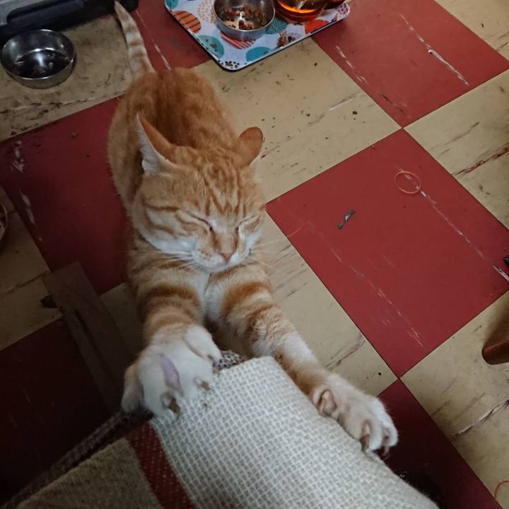 67a364f4 456e 491e bb26 9b557ec71a87 1562793070029