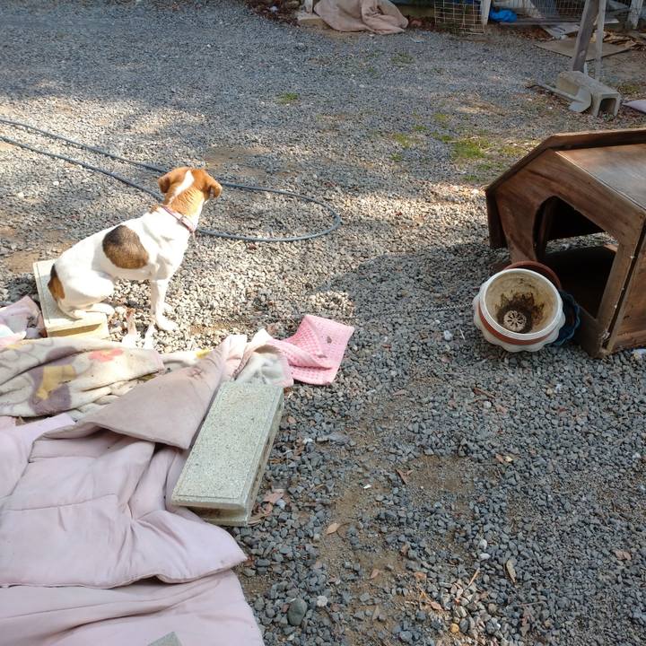 67a36a15 d085 4308 8112 c648d6cdb9d2 1581130063136