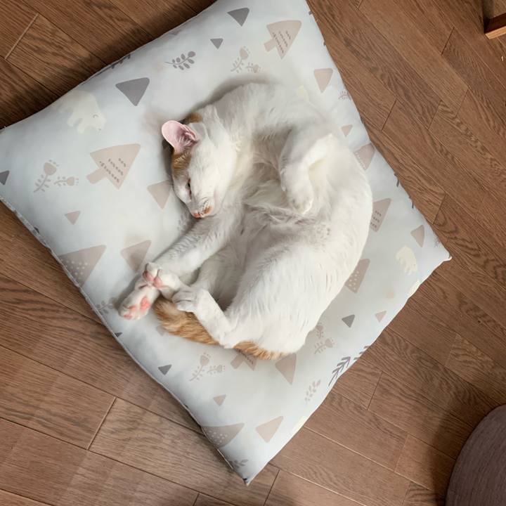 67a3a2b5 490a 4a91 b155 bf81b2f9f004 1573372248494