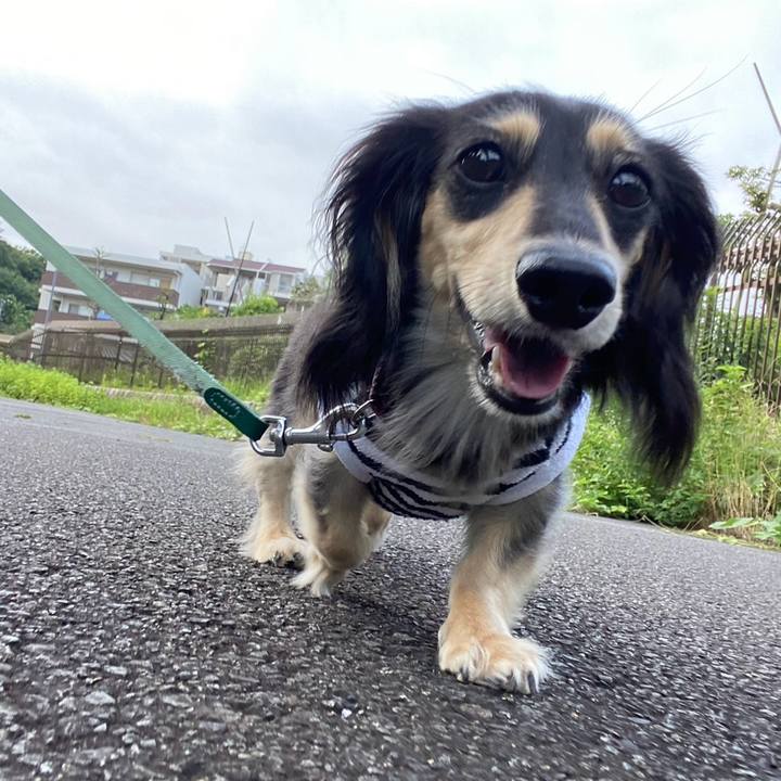 67a3fceb fcca 4d63 ae1a 2629f15e1950 1752371792907