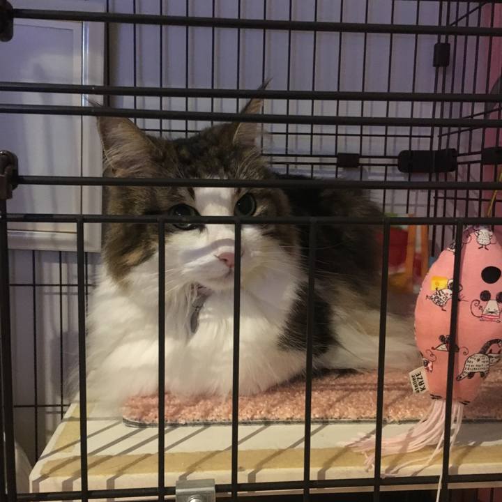 67a4029f 6a6b 40ae 88d3 66b6259cea66 1566215580972