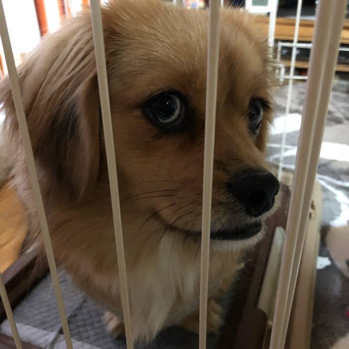 67a42e66 6f17 46ab bcaf ca7da551506d 1514411957348