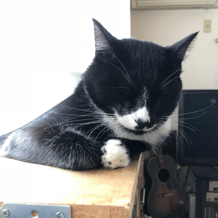 67a49119 7cc3 4a47 a749 9492d20f8a6b 1542685994297