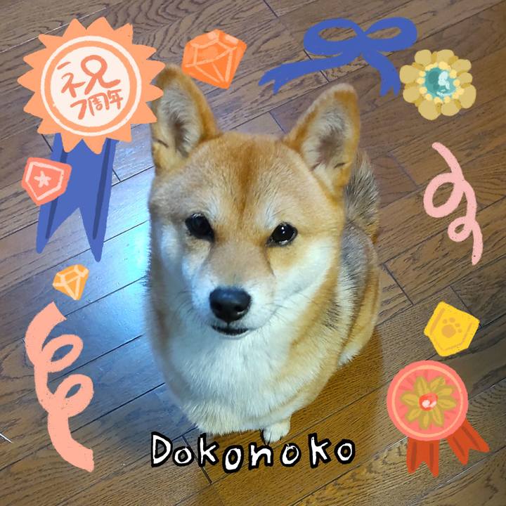 67a4c4a1 d846 48f8 a6f5 17e3aa6aedea 1685938861519