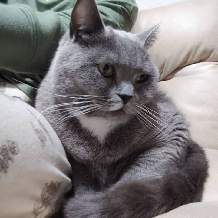 67a4c9bb 12a9 40f2 bef8 01594d9bd51a 1668542428037