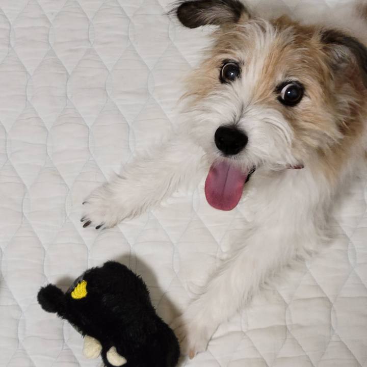 67a4f85b 7742 4bb9 8e4b 3e2821a5cead 1772763437054