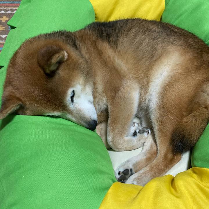 67a51a09 7e9e 432e 8088 3368f1790ee8 1748177996510