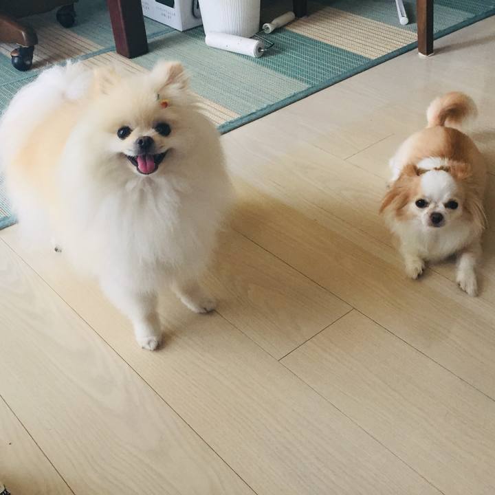 67a57389 835e 4e62 a91a 5a48635b6741 1564447791722