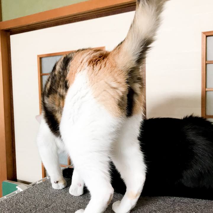 67a57402 f2cd 4e3b 908f ffa7ac9f9ed4 1532355913794