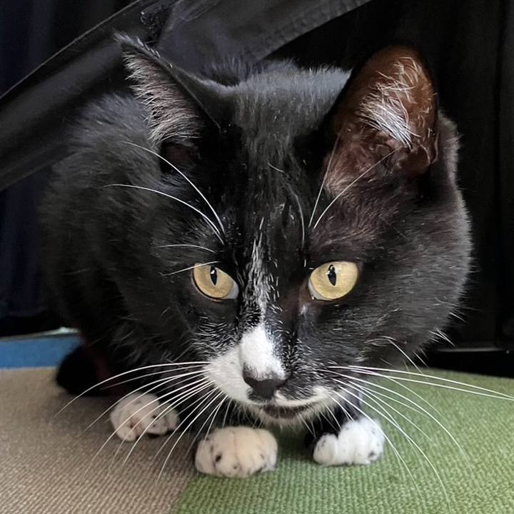 67a58d12 acf0 4d54 9a9c e5aff1cbe924 1716282998580