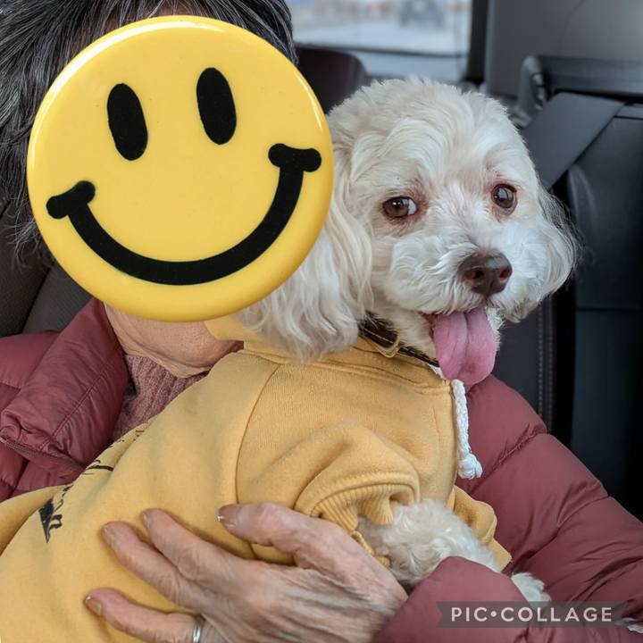 67a5980b 8cff 4c9d 8db3 8ed04dd94fa7 1767096979992