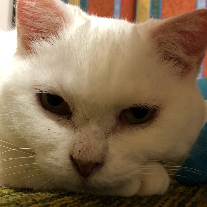 67a5c65b 2e7c 4786 9caf dd9d1605b539 1530364657402