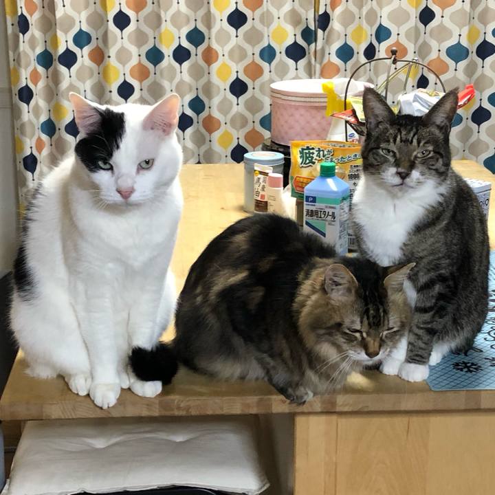 67a5d939 6084 47ed 959f 880f4256445e 1581947859283