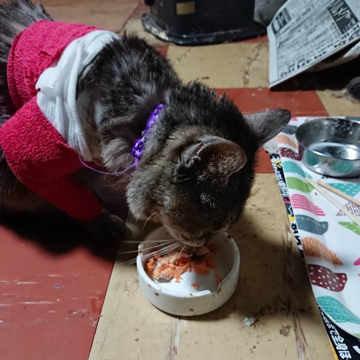 67a5e62a a048 42d2 8776 24f21aeb0470 1586725957188