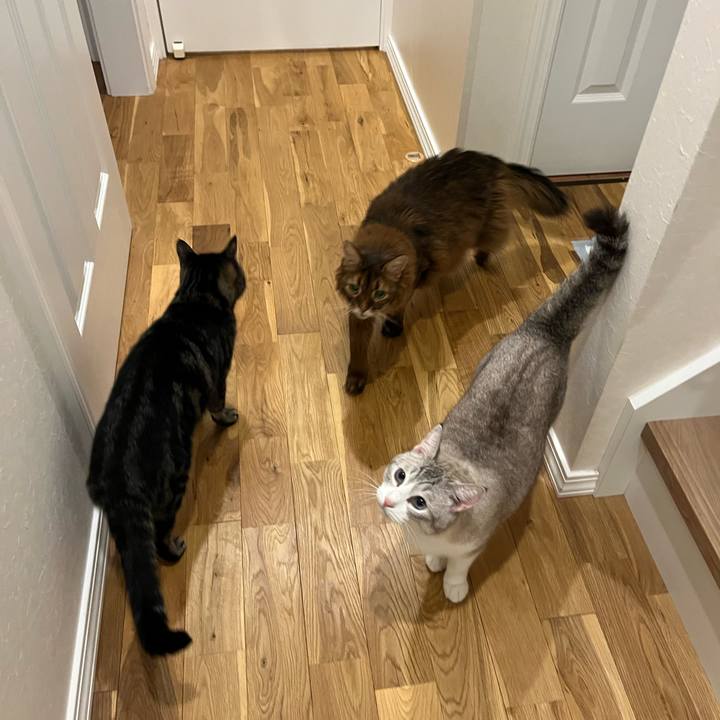 67a5f618 301f 4ca9 8f9a dcb917dcca0b 1761452368708