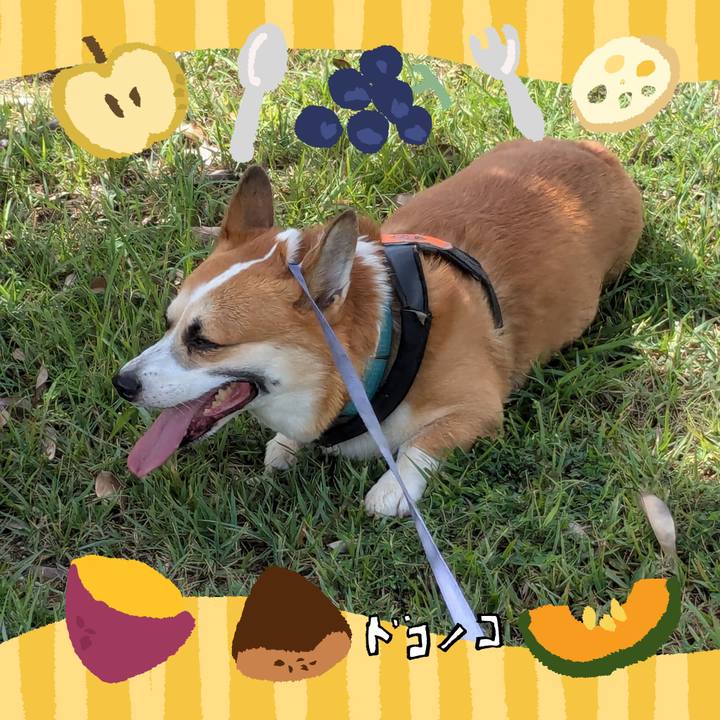 67a5f7dd cdfe 4a4f 9a48 736091636cd6 1726976933142