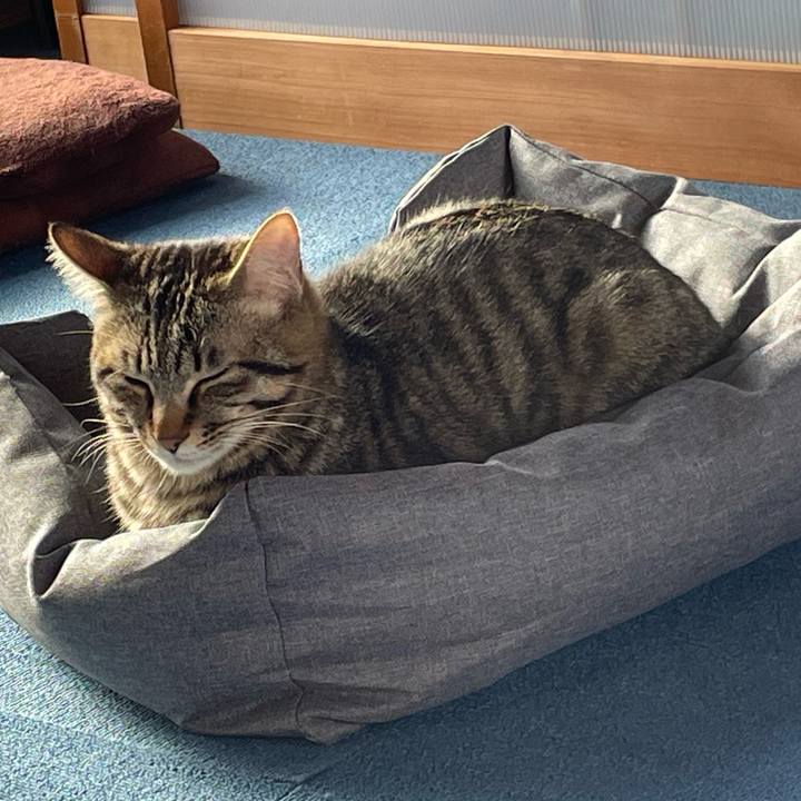 67a67de0 860d 4224 b314 62d5500636d2 1757324535286