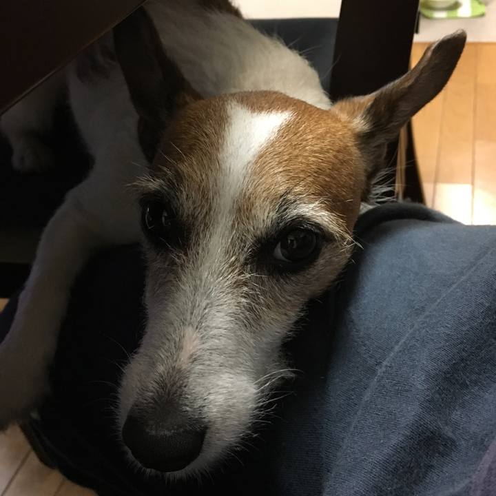 67a69378 4615 4d4f b03c 1a6b04715b74 1561248478493