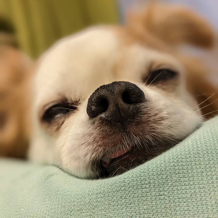 67a69fd0 ce0a 459b a22e 2a449bdd0f25 1677287418397