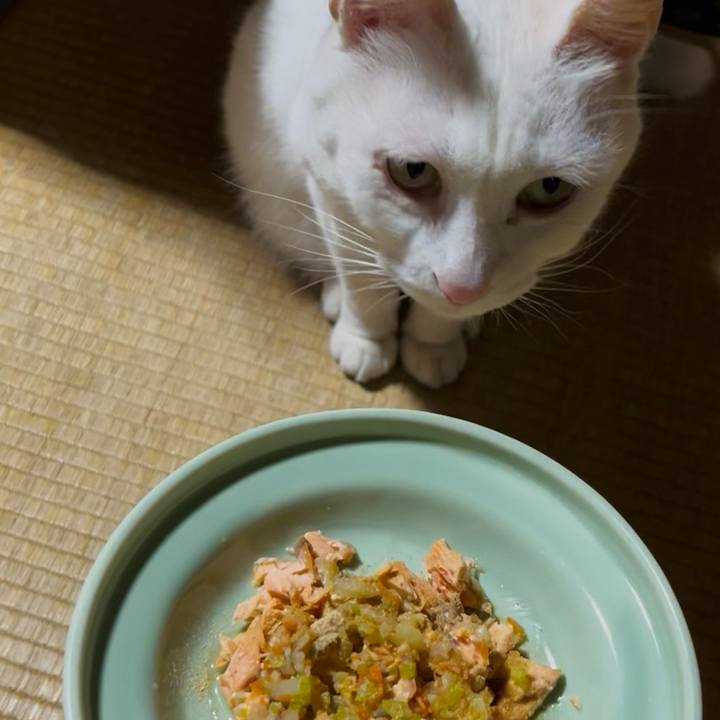 67a6a2f5 9ca0 49f0 a8f2 a155c11630af 1766490380761