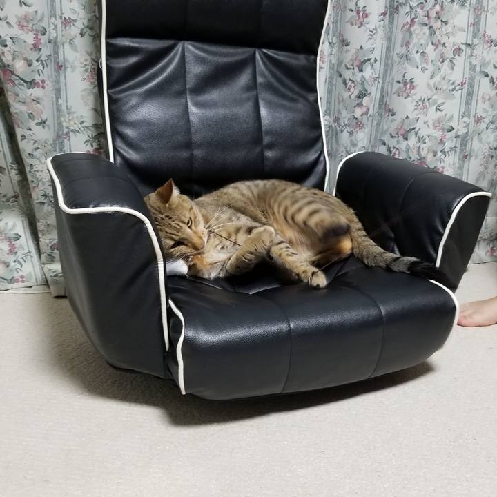 67a6ed7c b65a 48b5 a6a6 af92ddc957e9 1648348924599