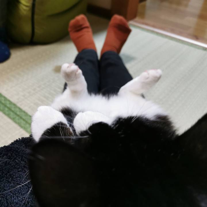 67a70f53 01b8 47b2 8cbb 2661dcb0c56e 1669866851778