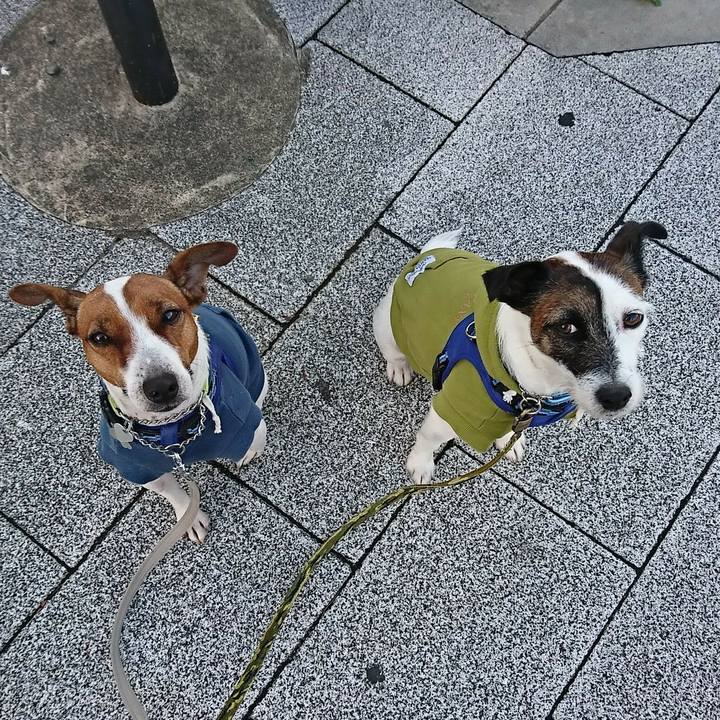 67a71ed9 637c 4be3 8c8b 8bd46550d0d6 1573079464066