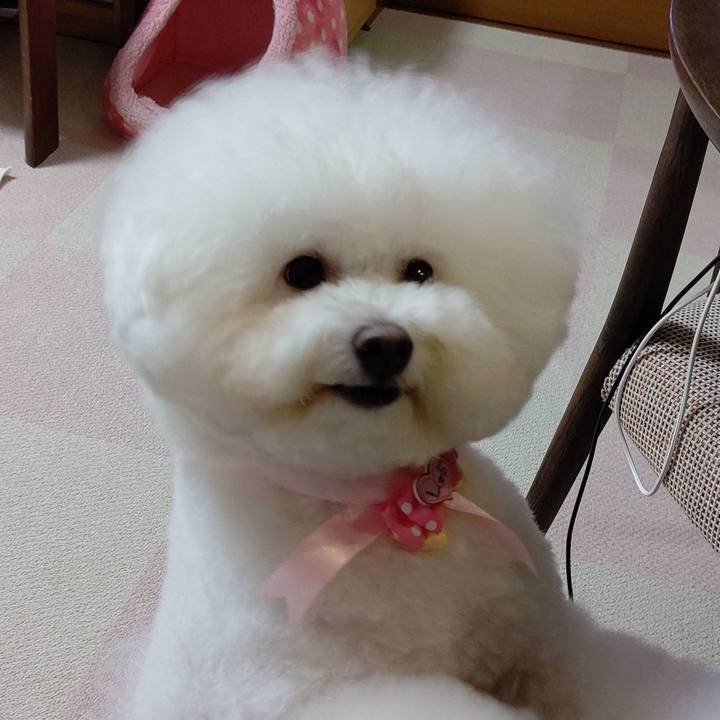 67a722c8 5dbe 48d3 ac26 d800af0a20b4 1569497209410