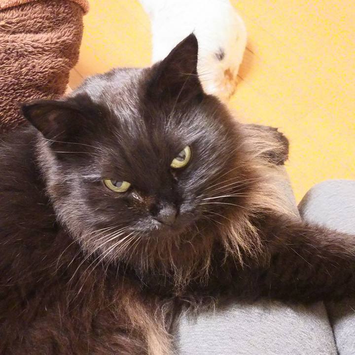 67a72bcd 0b60 47d5 b50e cd11623a2d91 1516030546220