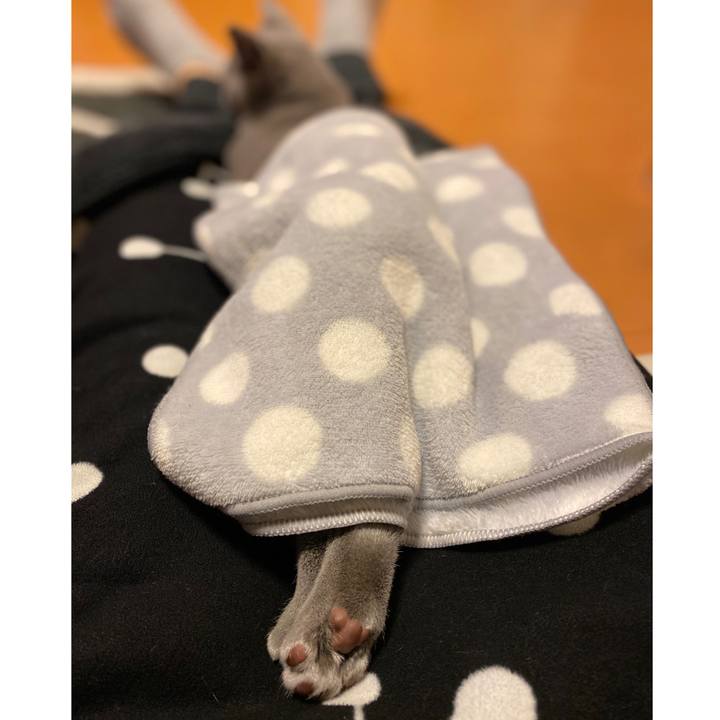 67a74b79 666a 4def a62c 6f807d2c7623 1609243391342