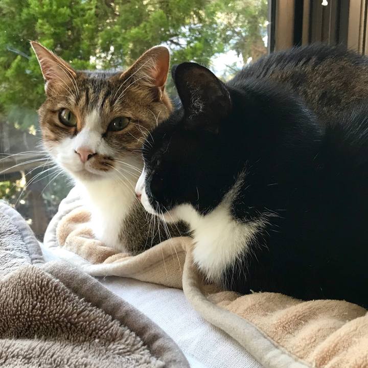 67a74e04 0449 4d33 87b4 6e48c540d704 1514263467302