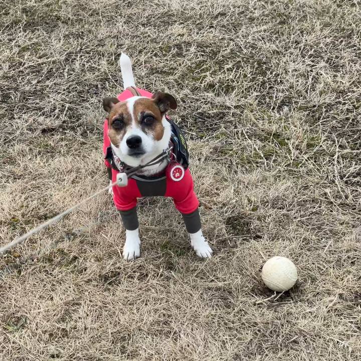 67a7a53e 7b26 4118 bd8c 4d88012df536 1740031642856