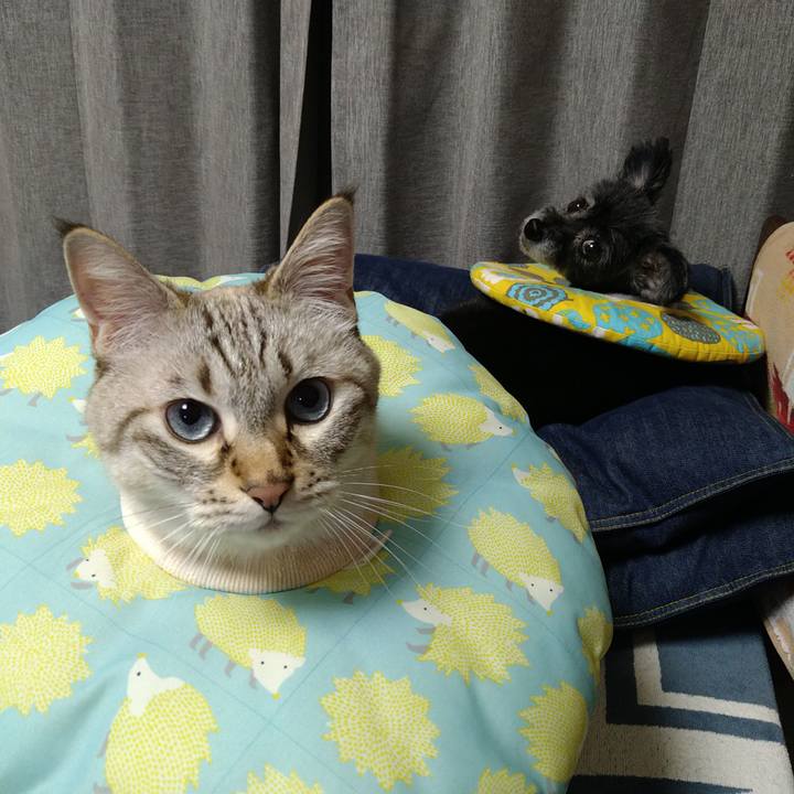 67a7ad39 0880 41fe 9bf9 a713a885e5cb 1727791139321