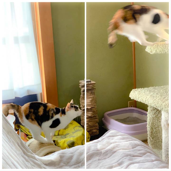 67a7c281 31be 43eb 815b c7a883342d6a 1559872576270