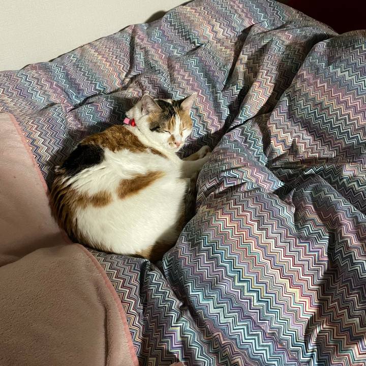 67a7dfe6 7bdf 40b2 93f3 dd3da9cfac45 1615210231693