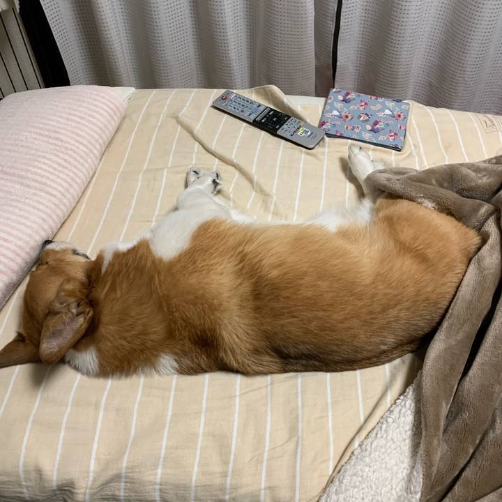 67a81678 1b89 4e13 ad43 3a0e518e7c8f 1581326101237