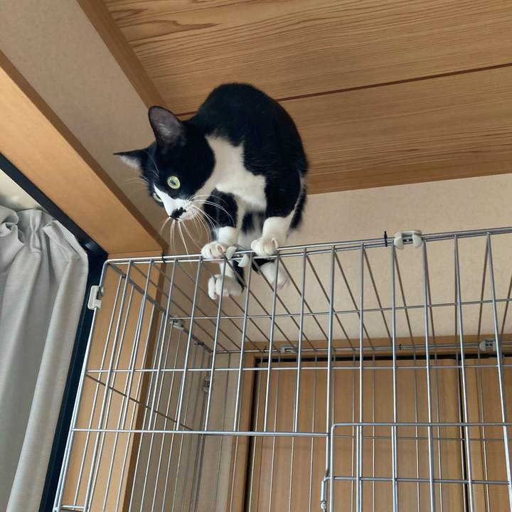 67a81cbb 8cad 4970 aa7b 42fb2ac212c2 1700097736799