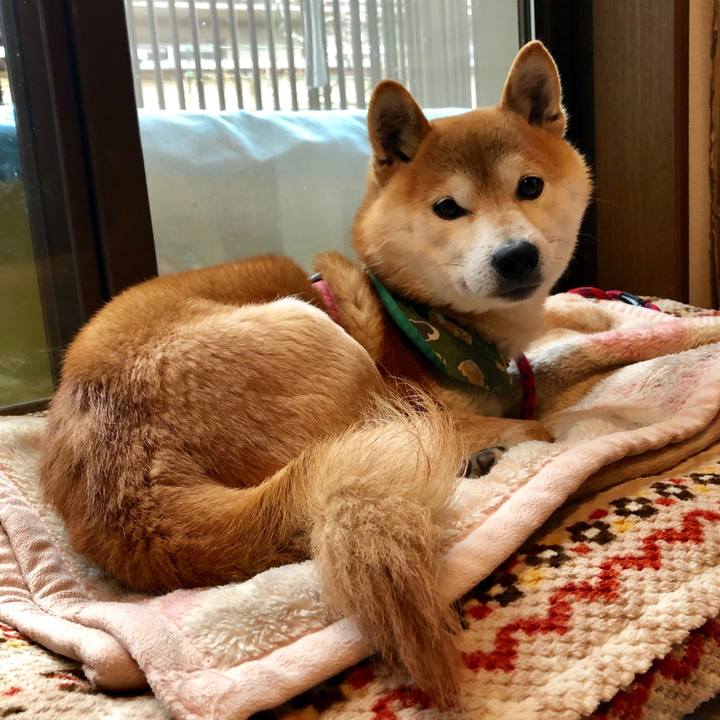 67a83c9a 302f 4aa3 a480 56fd4c113c31 1550218538568