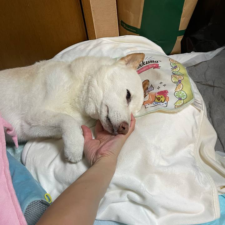 67a84397 ef8d 4bab a9bb 3f2abe0567f0 1634027245224