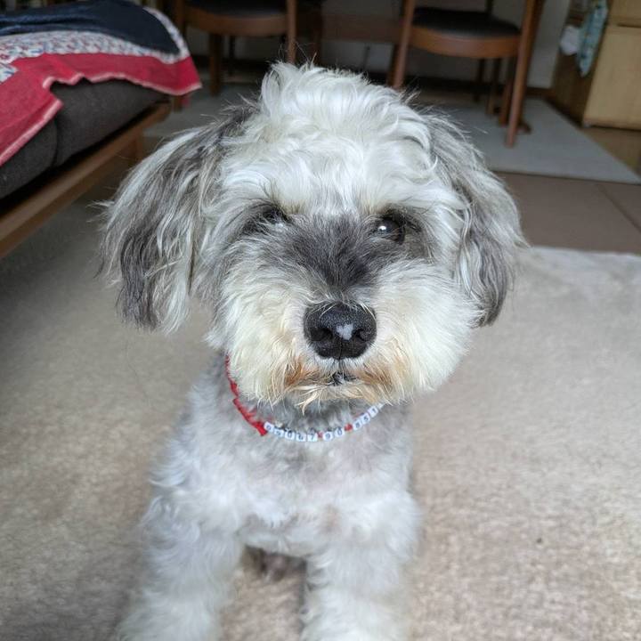 67a88d09 a544 44df b834 a38845d3f86c 1755401391046