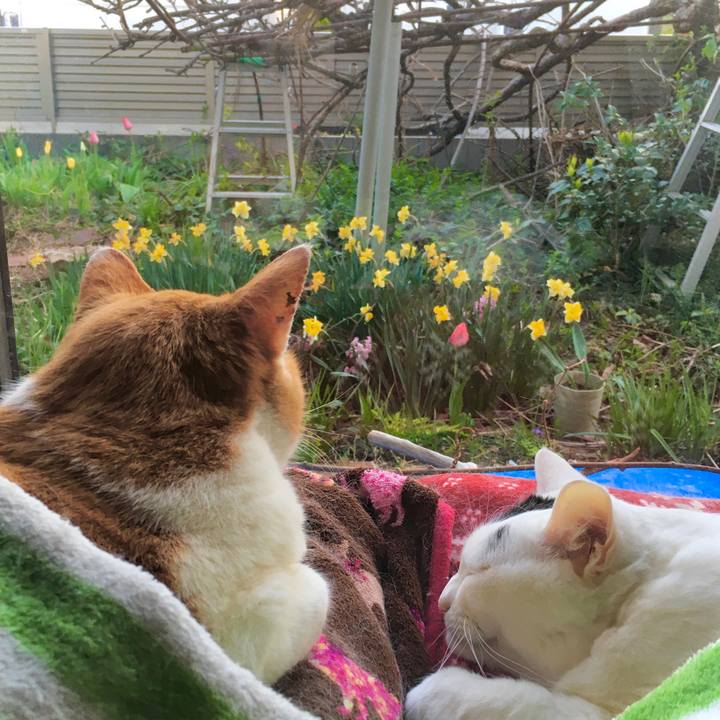 67a8981b a0a6 4c6b 8c7f 7951d15259cd 1618269203707