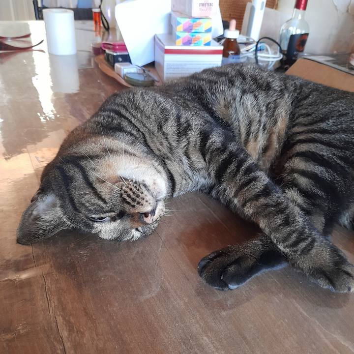 67a8cd08 0b46 45ad a15d 79380ddf9582 1770025216644