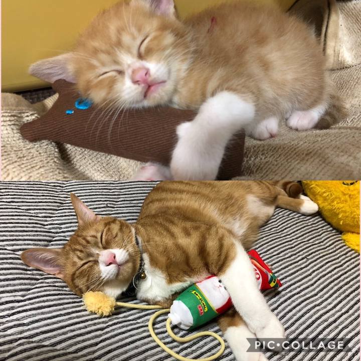 67a8cd73 e508 44e6 96c9 baa11ab06fae 1558707409080