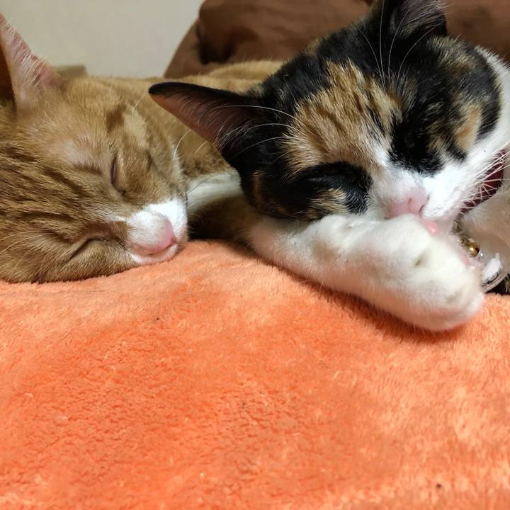 67a9156b 7423 4860 b2e7 c91f3c81aa9c 1554900194337