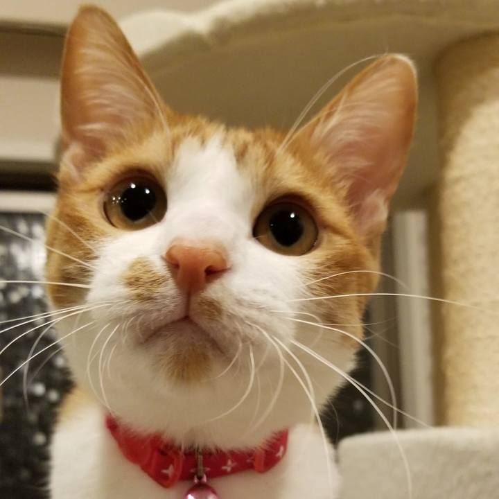 67a94a45 8439 4337 9c7d 226d3a1231c4 1520960301900