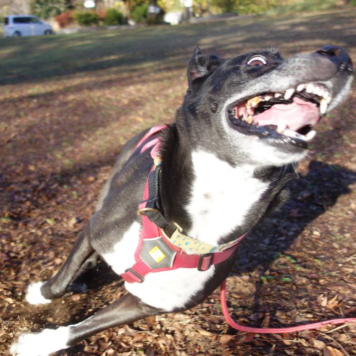 67a97a66 d206 40ba bda4 ae83a2ad4844 1701306536603