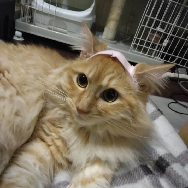 67a9b23e c7f4 421f 9fd4 1d3643404bef 1682688288382