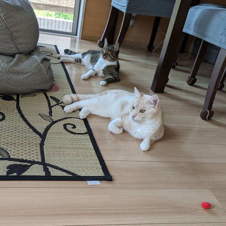 67a9dcfb adb2 4cd3 95a1 70211ce7ebae 1691273542912